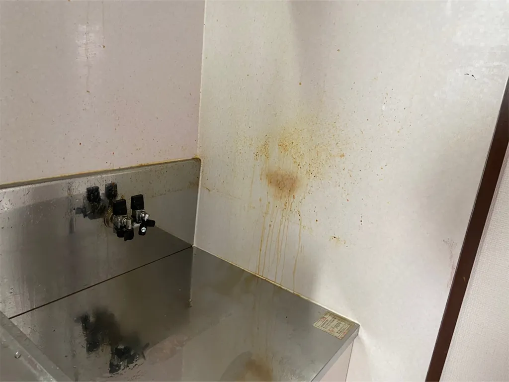 名古屋でキッチンシンクに付着した水垢やカルキ汚れ 清掃前