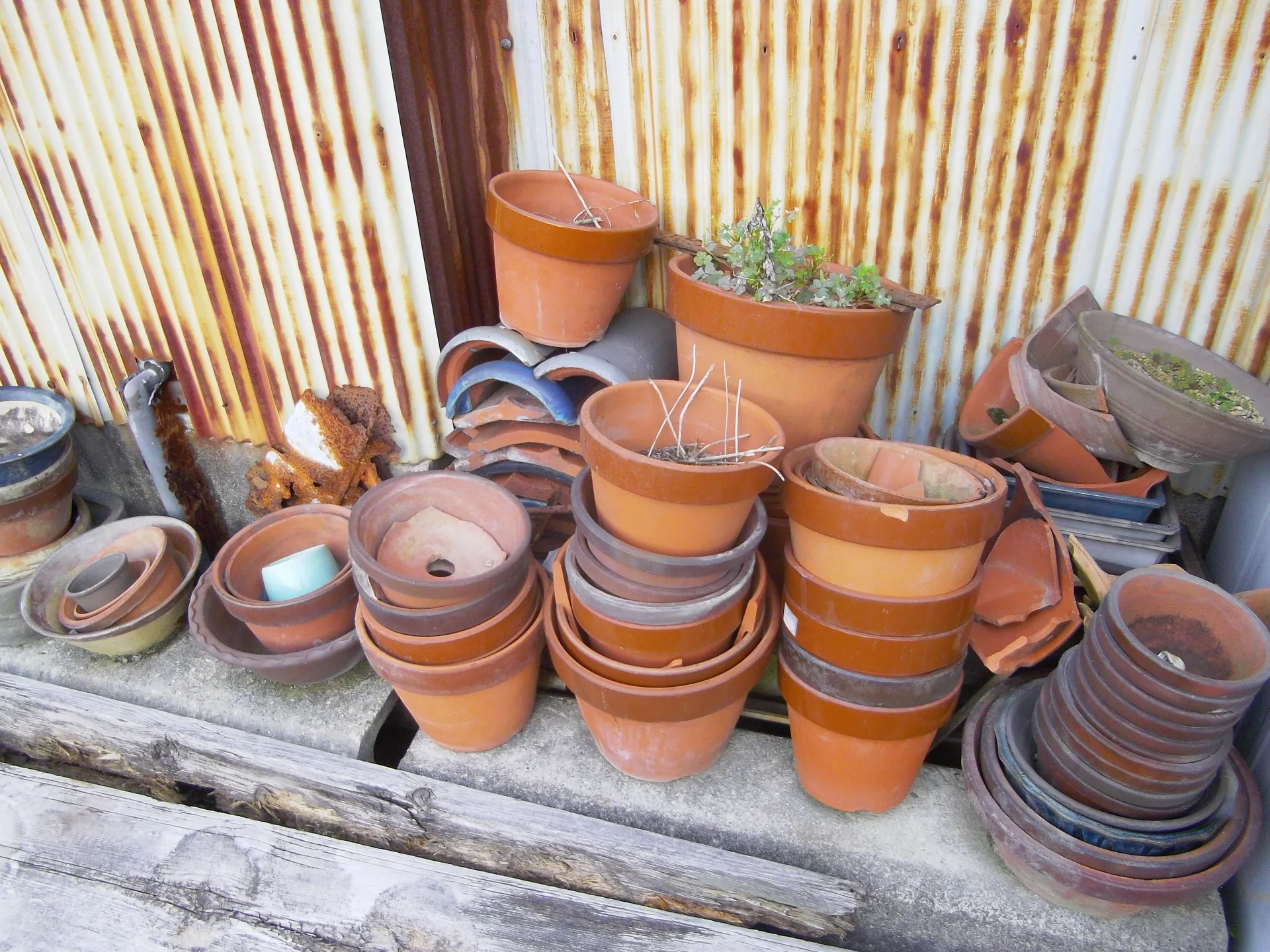 屋外に積まれた植木鉢と錆びたトタン壁