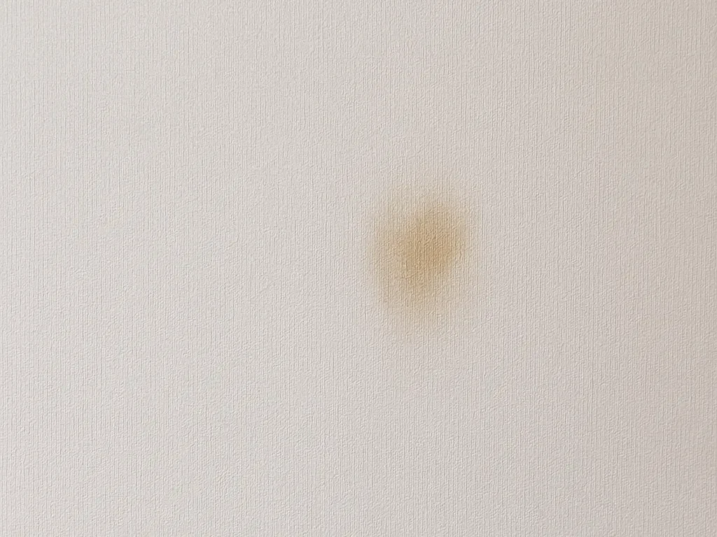 白い壁紙に付着した茶色い汚れのシミ