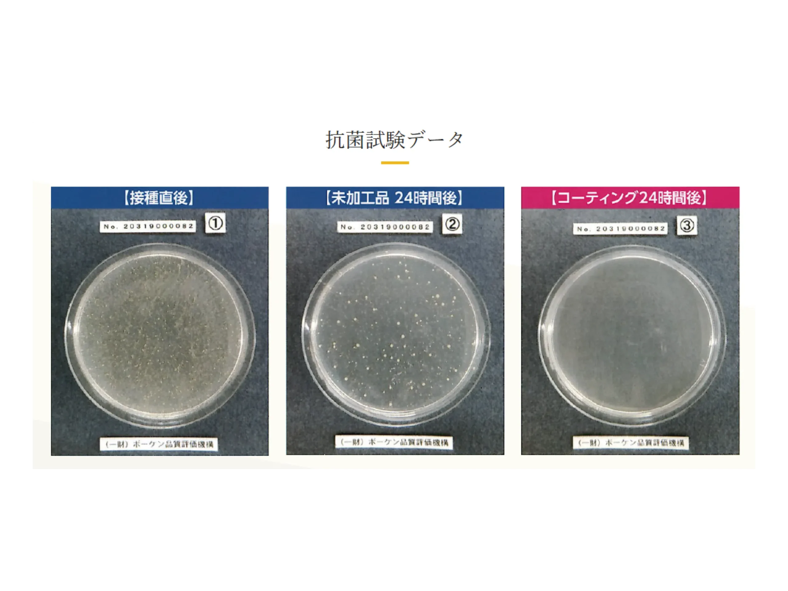 フロアコーティングの抗菌試験データ｜未加工とコーティング24時間後の比較