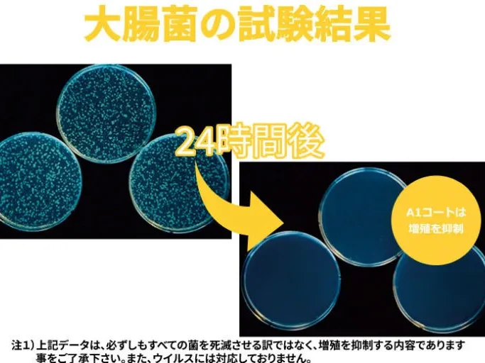 大腸菌の試験結果｜フロアコーティングA1コートの抗菌効果で菌の増殖を抑制