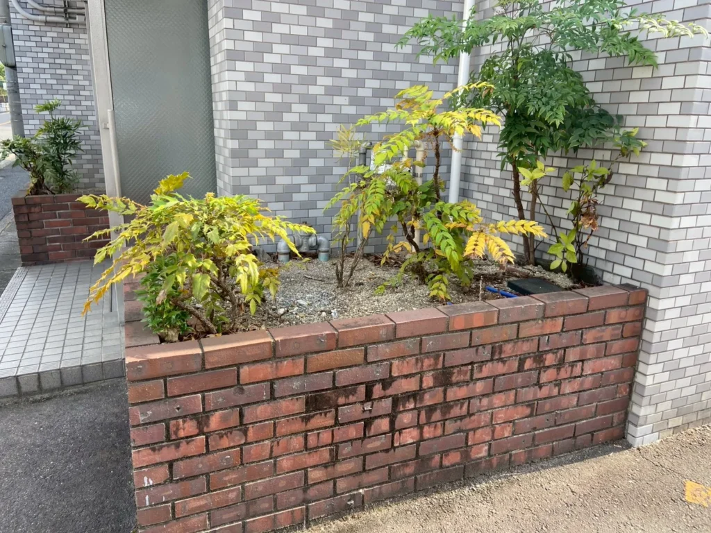 名古屋市名東区のマンション外構リフォーム前：植栽スペース（玄関横）の状態