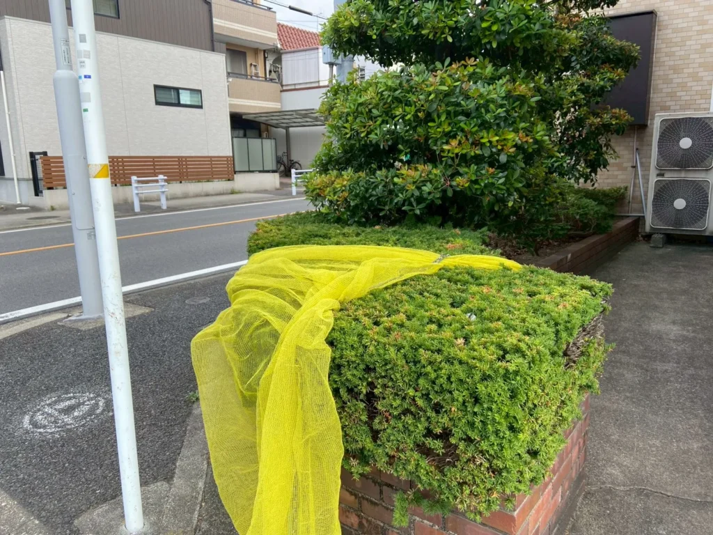名古屋市名東区のマンション外構リフォーム前：ゴミ置き場周辺の植栽スペースの様子