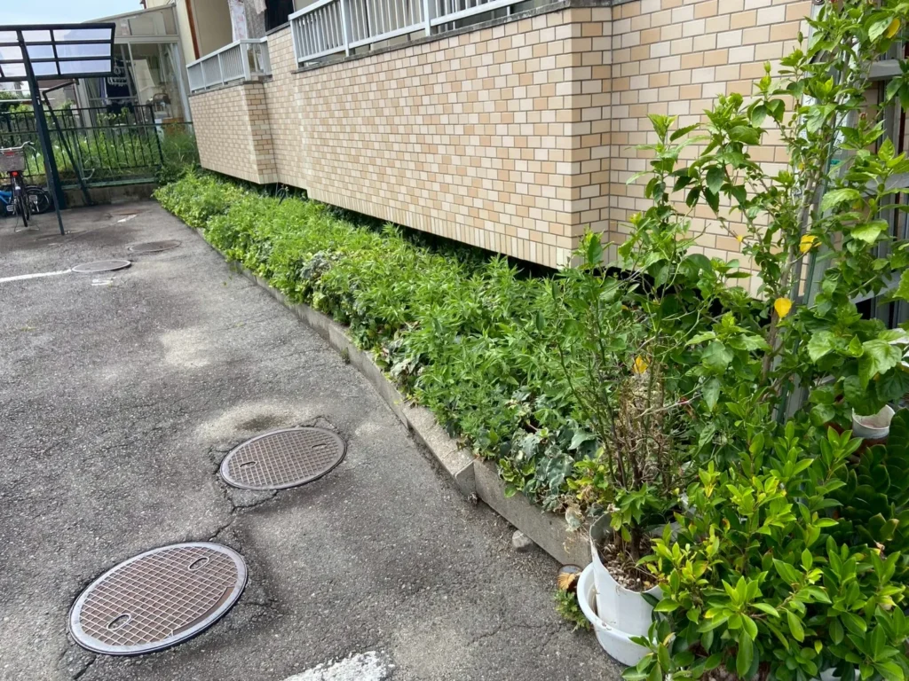 名古屋市名東区のマンション外構リフォーム前：駐車場脇の植込み部分の様子