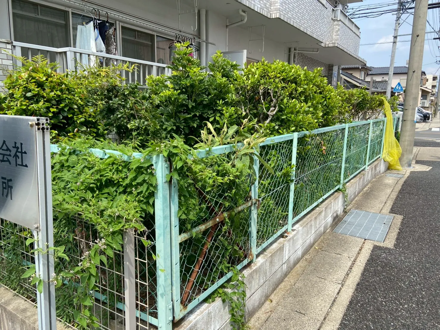 名古屋市名東区のマンション外構リフォーム前：フェンス沿いの生垣と雑草が繁茂した状態